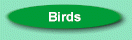 Wild birds